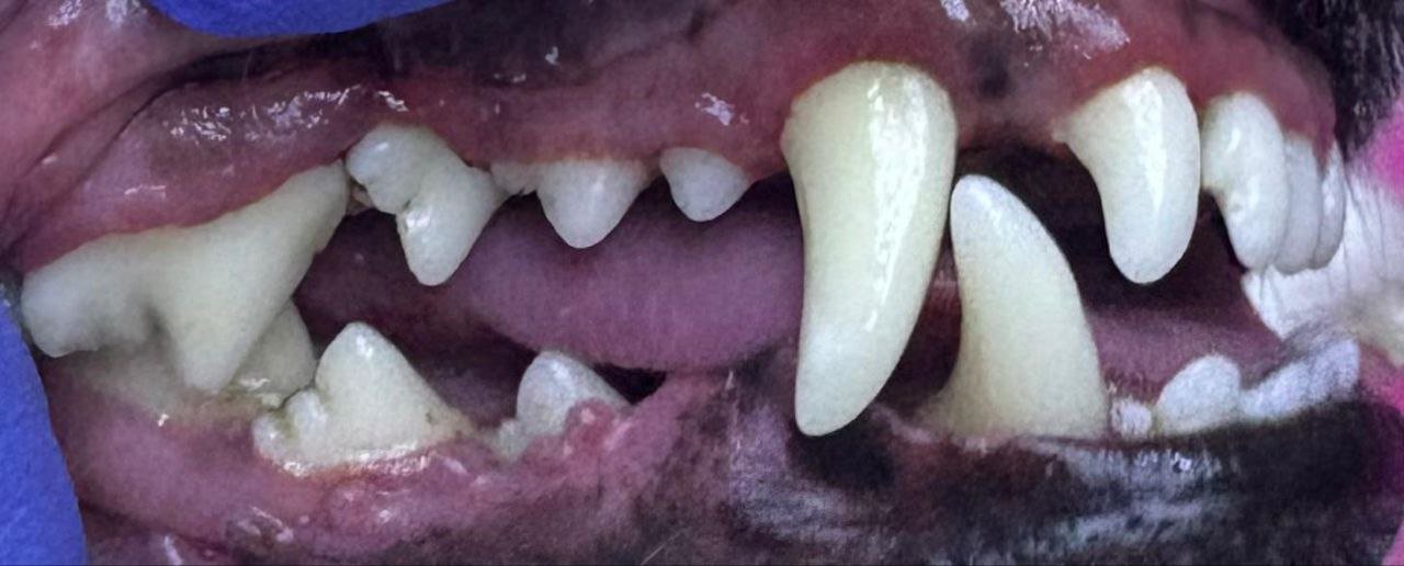 5053291463881896013 5053291463881896013