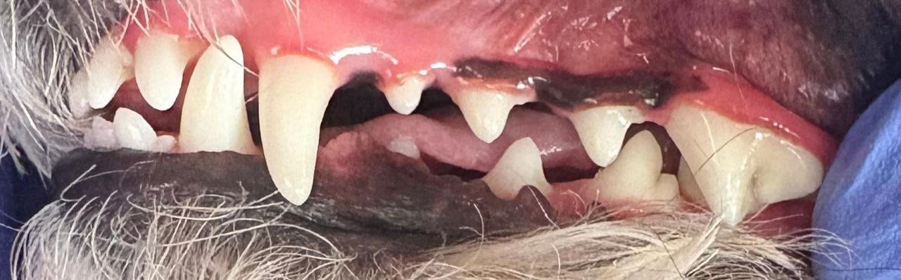 5053291463881896015 5053291463881896015