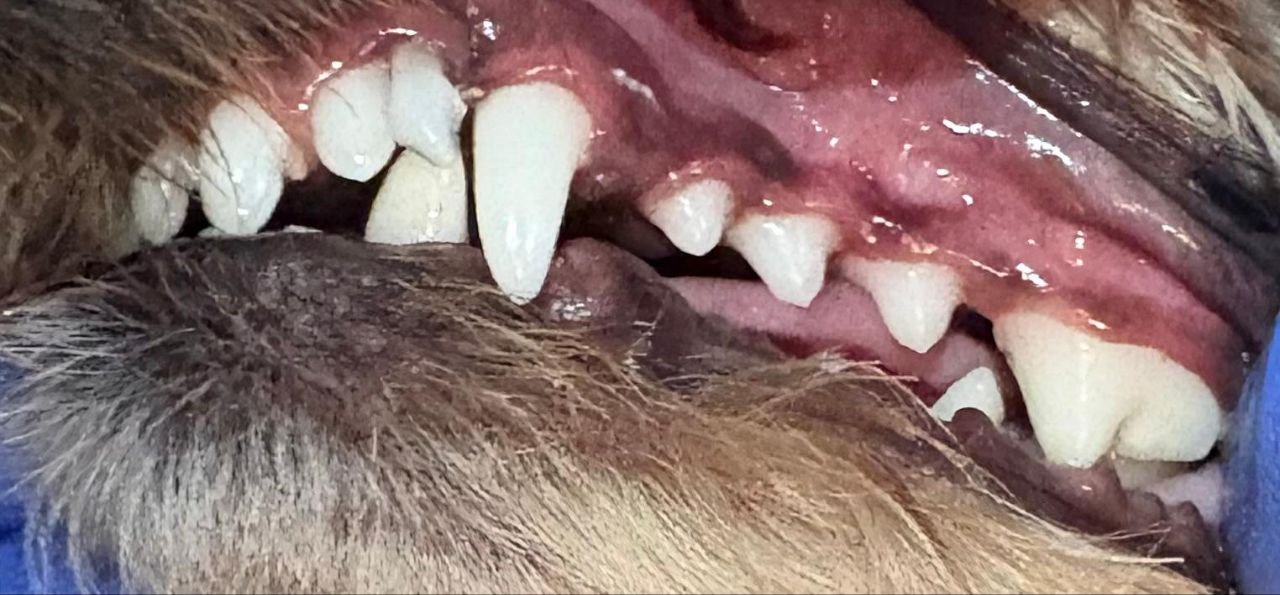 5053291463881896019 5053291463881896019