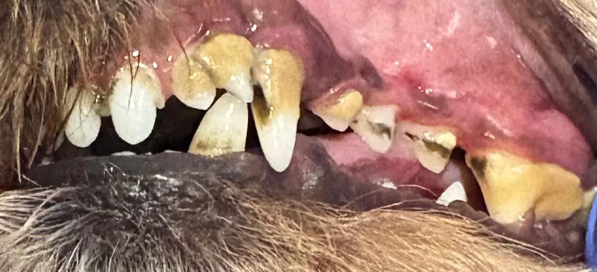 5053291463881896021 5053291463881896021